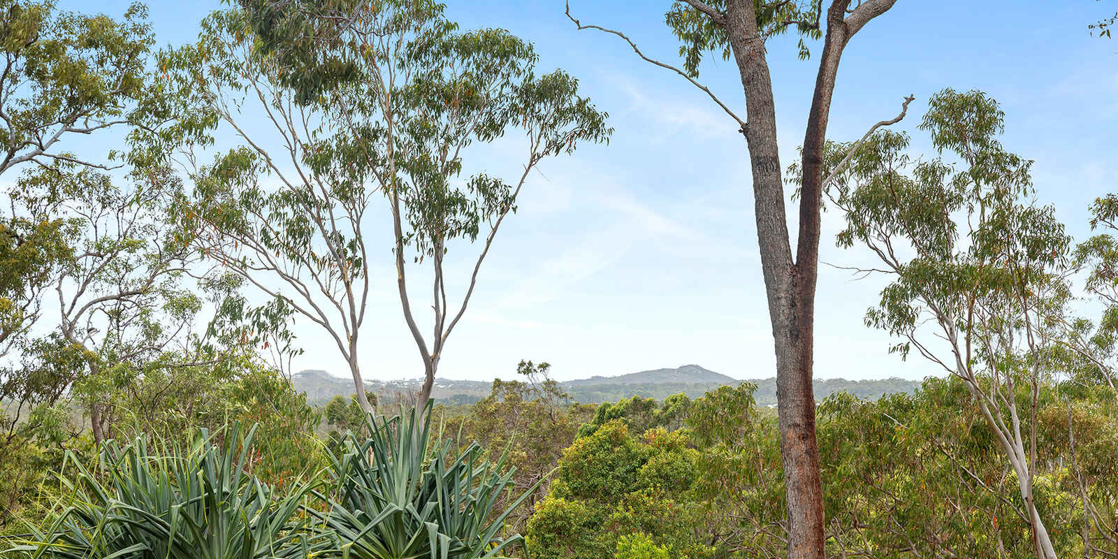 166 Arcoona Road Yandina Creek 166 Arcoona Road Yandina Creek