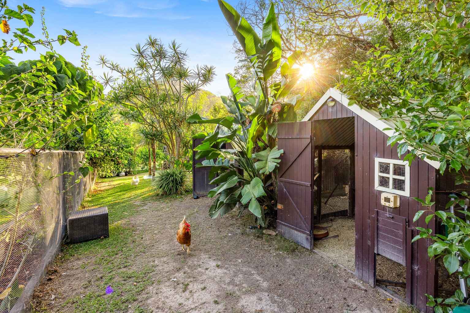 1 Warrener Place Maroochy River 1 Warrener Place Maroochy River