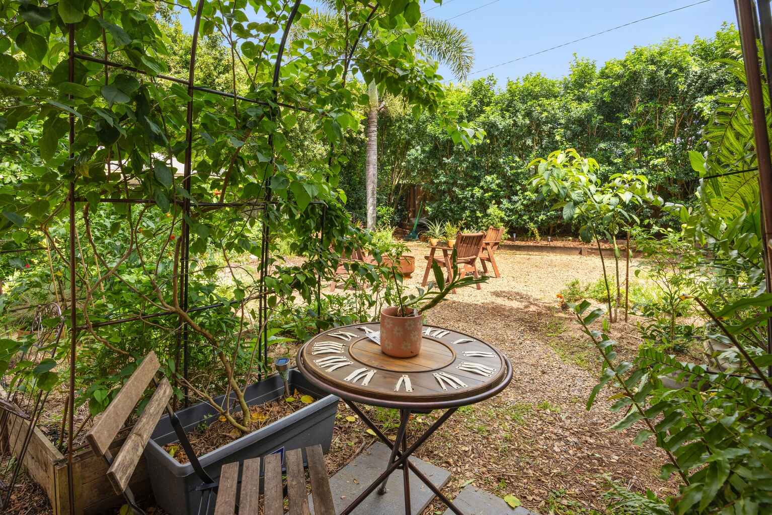 17 Quondong Court Yandina