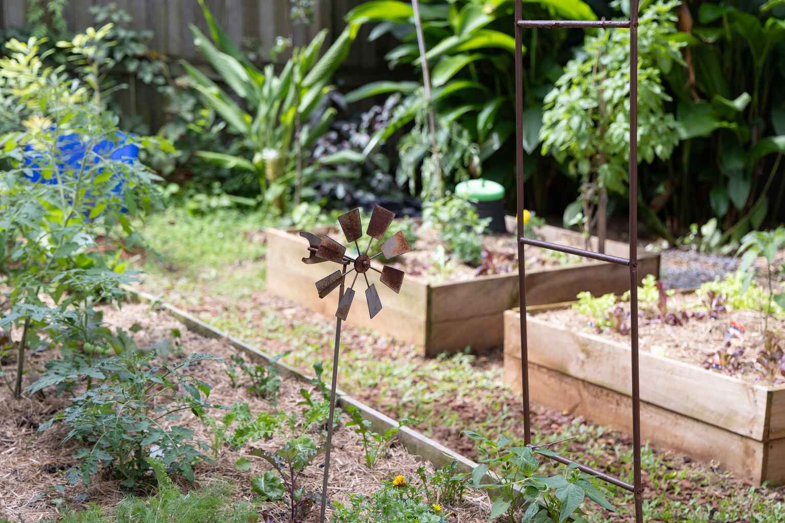 17 Quondong Court Yandina