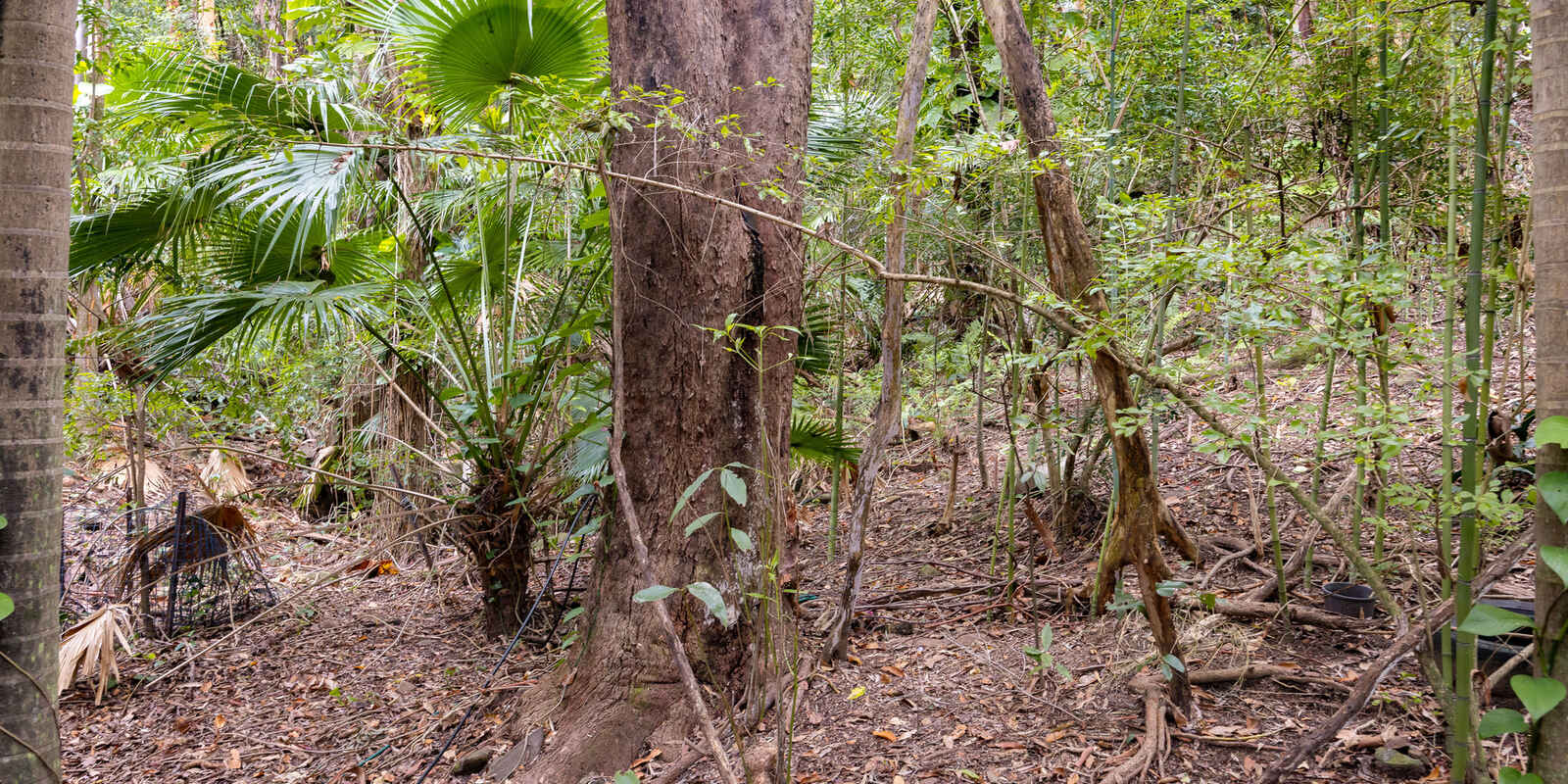 9 Carrock Court Mount Coolum