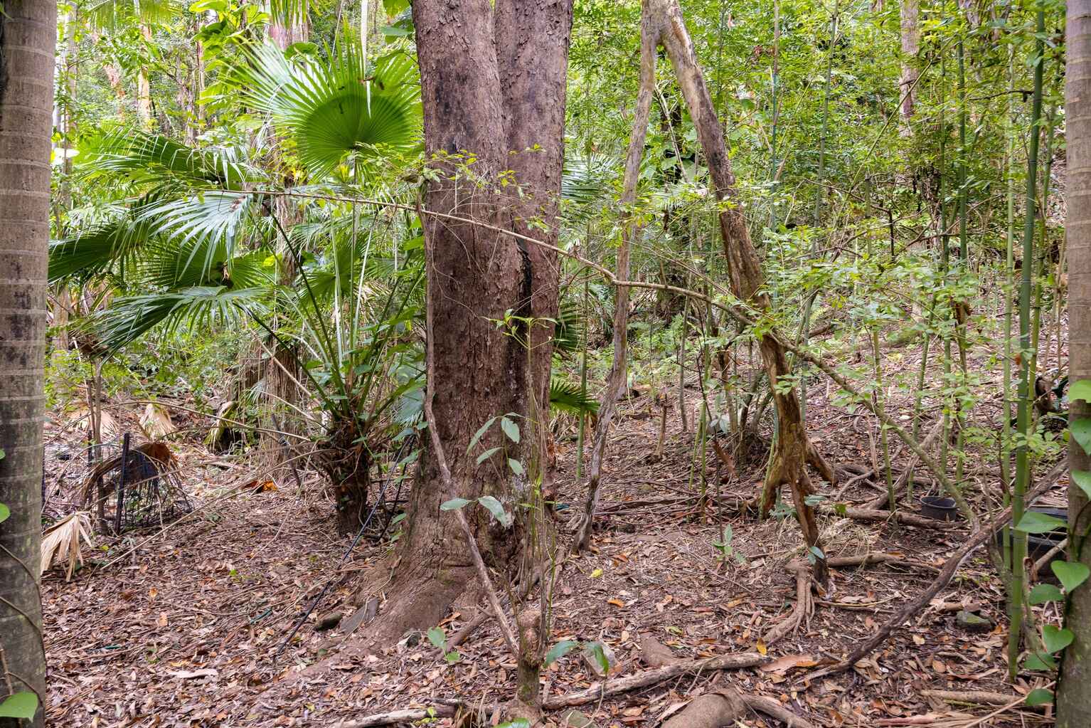 9 Carrock Court Mount Coolum