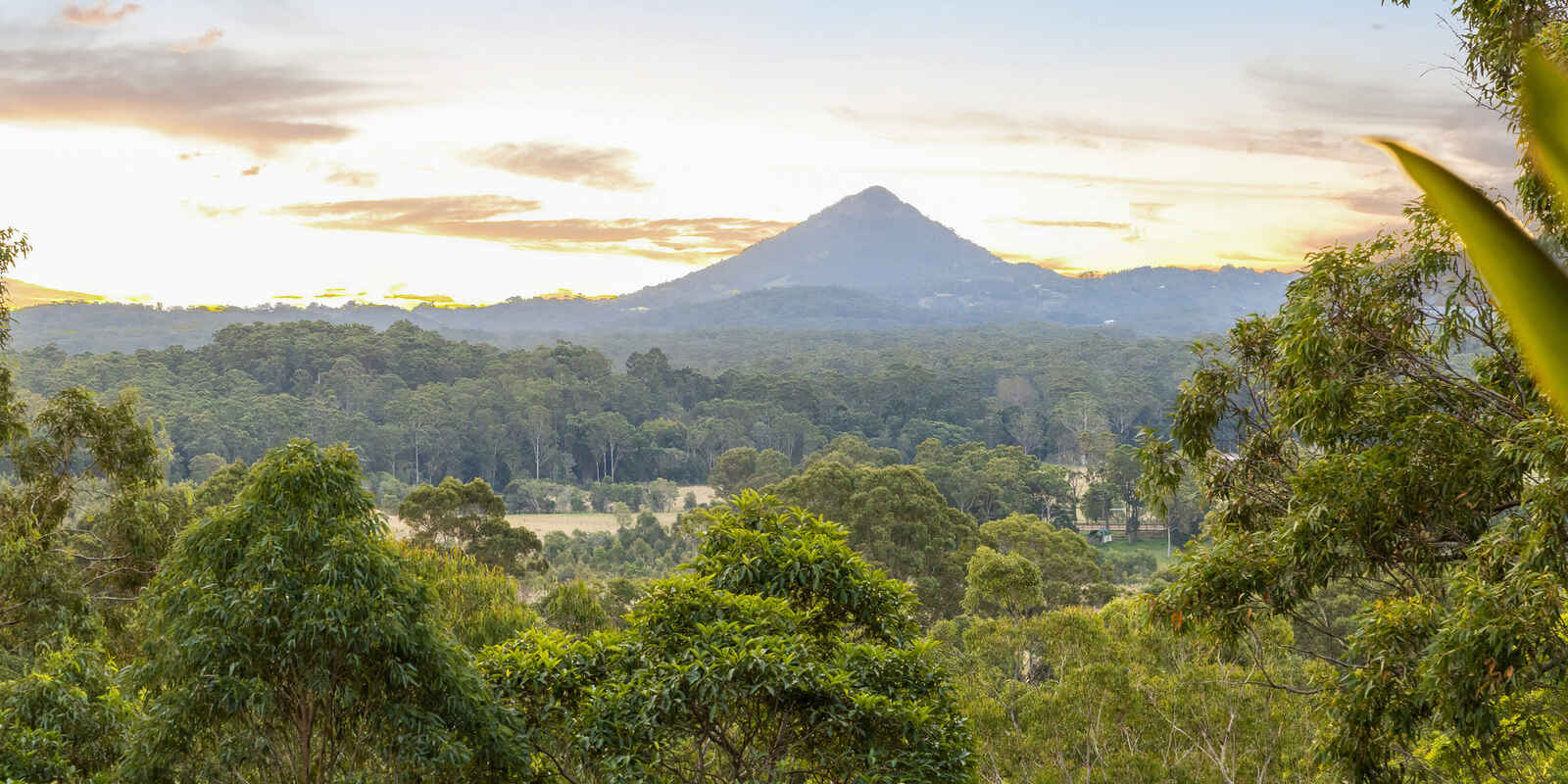 51 Whistler Ridge Drive Yandina Creek