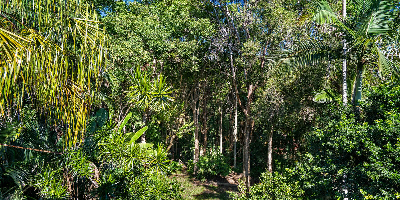 85 Neurum Road Yaroomba