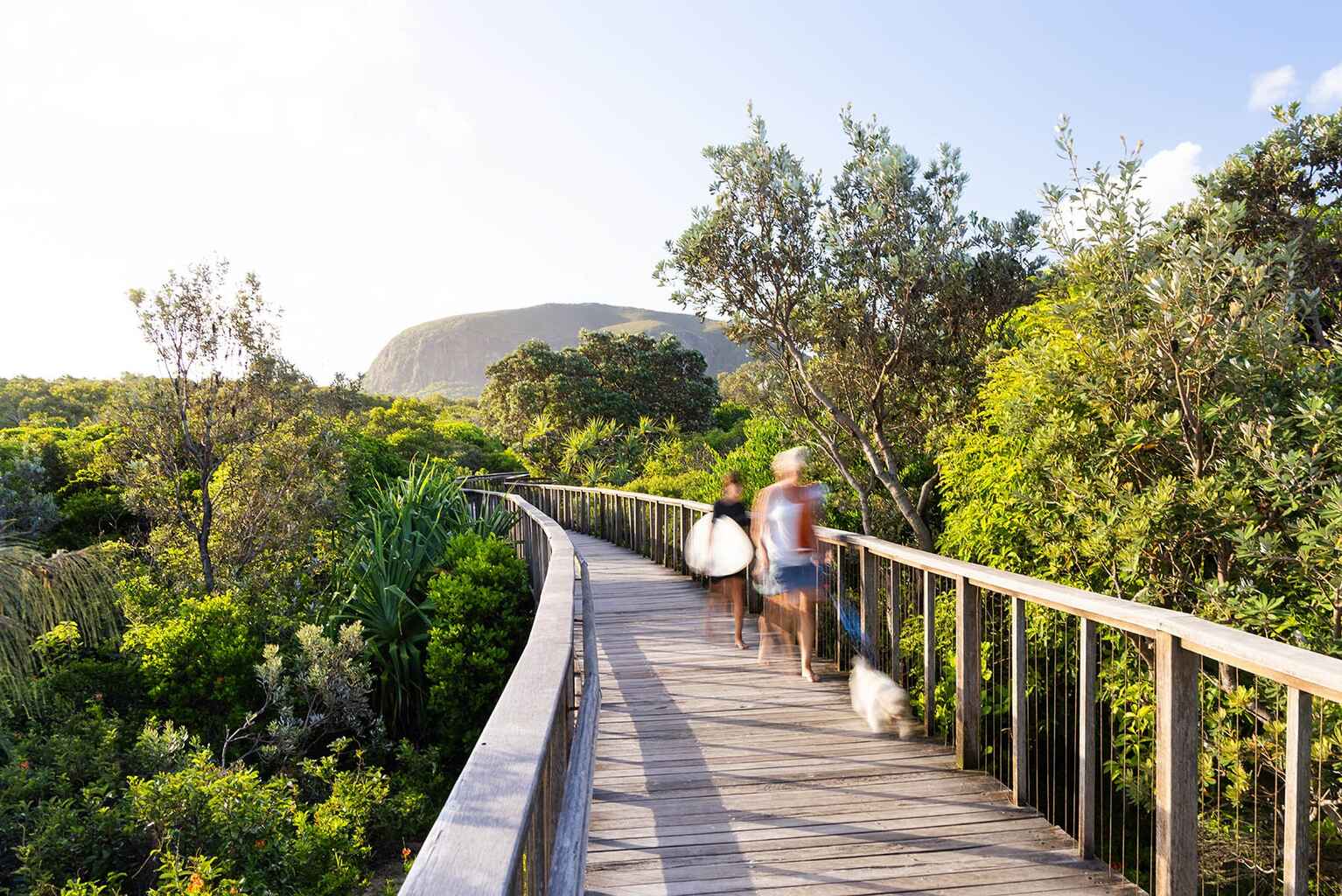 3 Mora Court Coolum Beach