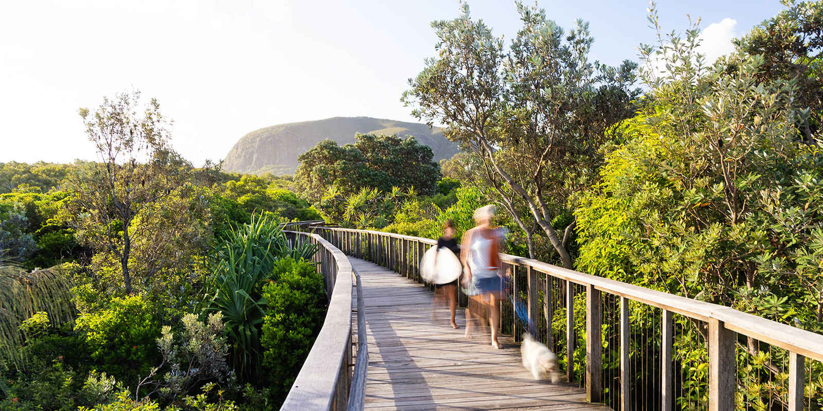 1/4 Jarnahill Drive Mount Coolum