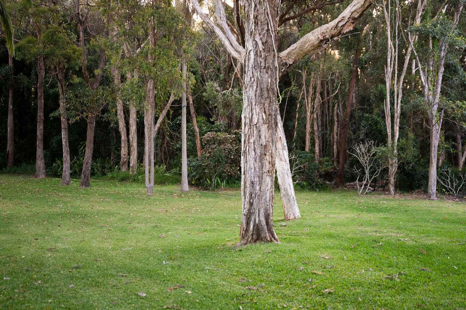 87 Cinnamon Avenue Coolum Beach 87 Cinnamon Avenue Coolum Beach