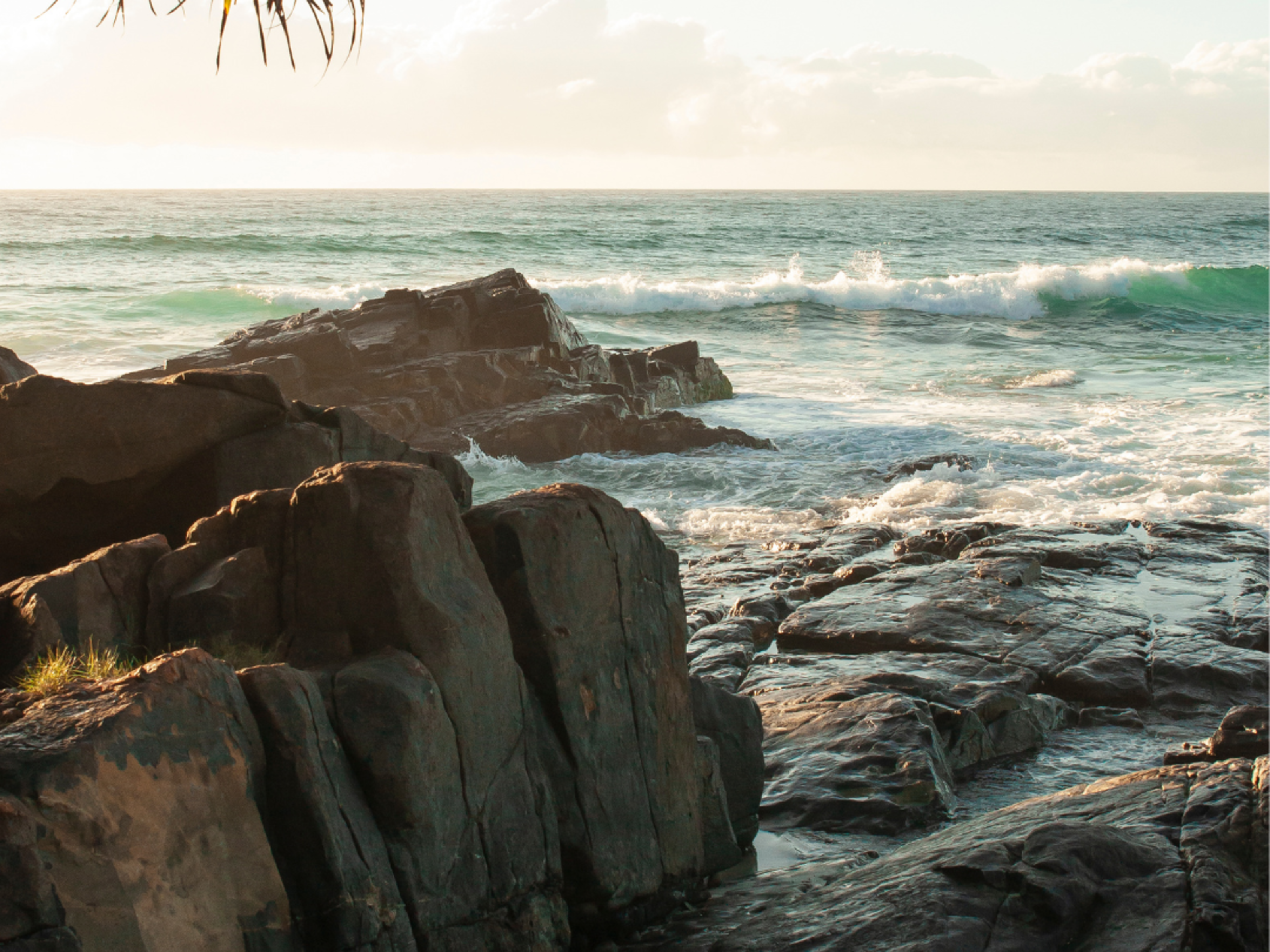 Carol Mendoza Carol Mendoza