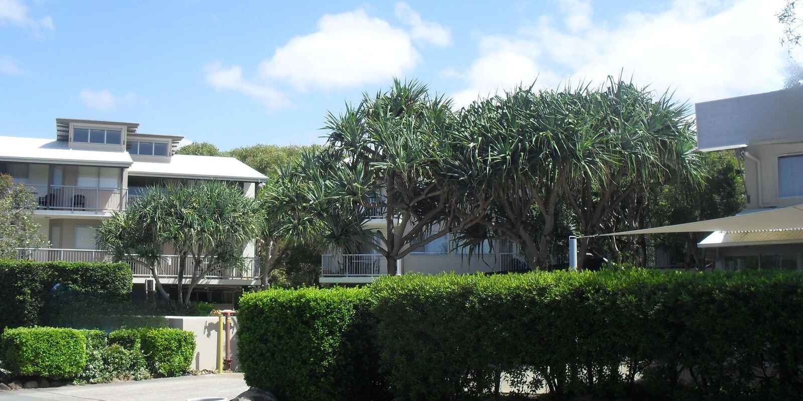 8/7 Seacove Lane Coolum Beach 8/7 Seacove Lane Coolum Beach
